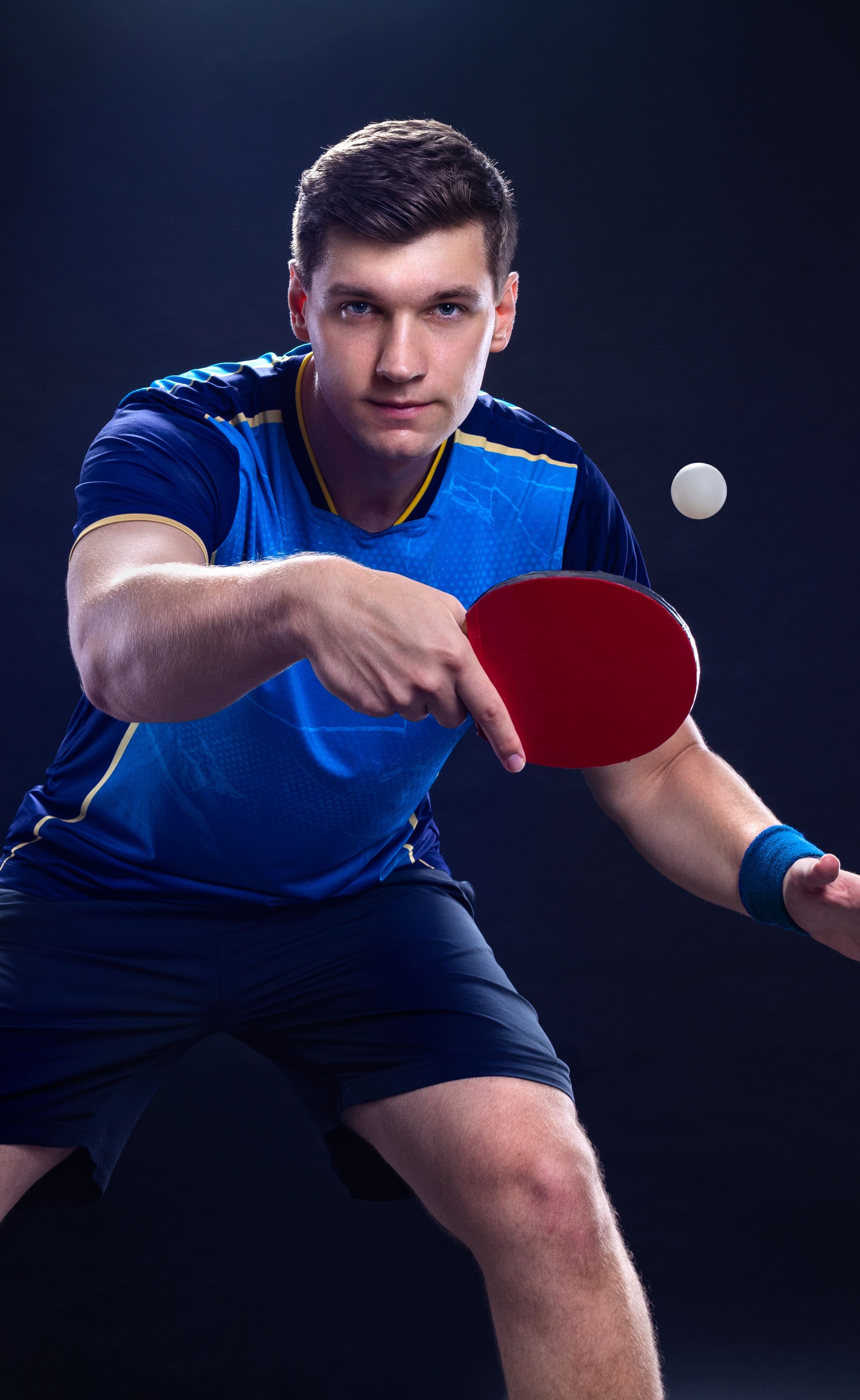 Professionals using BookMePro to present and run their services